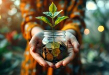 Desmatamento vira prioridade apenas para faixas de renda mais baixas, indica estudo