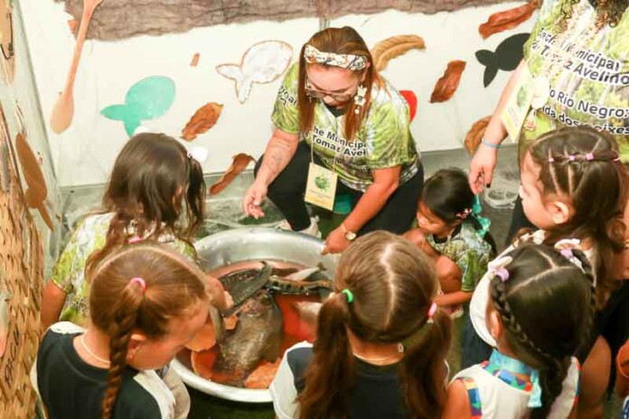 Disputa-acirrada-e-ideias-brilhantes-marcam-a-grande-final-da-13ª-Feira-de-Ciências