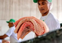 Corte nobre, preço justo: Feira do Pirarucu vira sucesso entre os manauaras