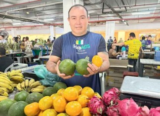 Feiras regionais viram febre na capital: qualidade e preço justo conquistam o público