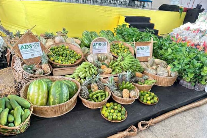 Iniciativa-leva-kits,-mudas-de-café-e-toneladas-de-alimentos-para-trabalhadores-rurais