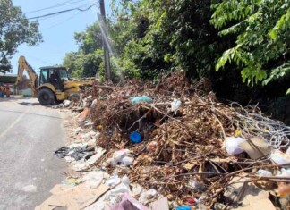 Ataque ao lixo urbano: Manaus enfrenta avanço de descarte criminoso nas ruas