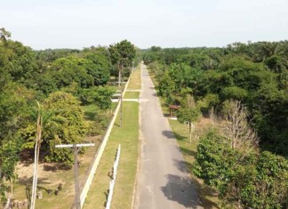 Moradores do Cuieiras celebram pavimentação: “Vai mudar tudo”, diz comunitário