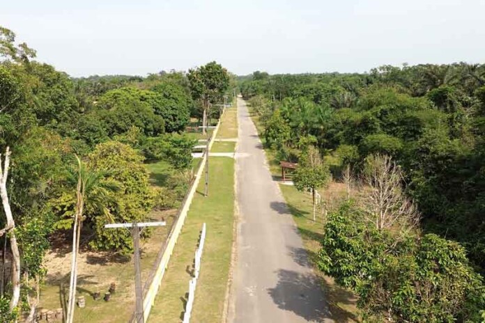 Moradores-do-Cuieiras-celebram-pavimentação