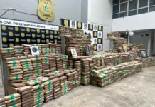 Polícia Civil causa prejuízo de R$ 44,4 milhões ao narcotráfico após nova megaoperação