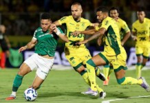 Palmeiras tropeça e vê o Flamengo colar na disputa pela liderança