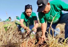 COP30: Sicredi anuncia estratégia poderosa para zerar carbono e revolucionar o agro