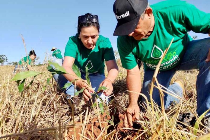 Sicredi-anuncia-estratégia-poderosa-para-zerar-carbono-e-revolucionar-o-agro