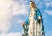 Título de Maria gera tensão na Igreja: Entenda o que está por trás da decisão