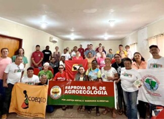 Lei da vida: Tocantins avança para garantir comida saudável e agricultura sem veneno