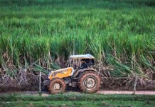 Tratores em alta: salto nas vendas revela corrida dos produtores por modernização