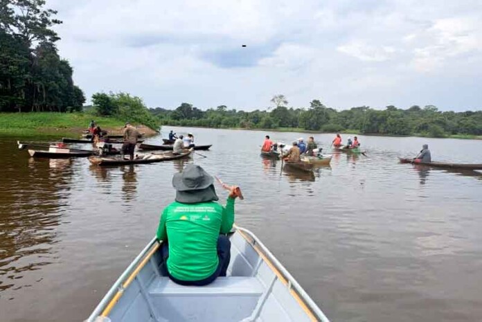 manejo-sustentável-rende-lucro-e-esperança-em-Maraã