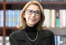 Somos programados para não desistir