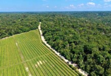 Após 40 anos de espera, ramal Água Branca 2 recebe ordem de serviço para pavimentação