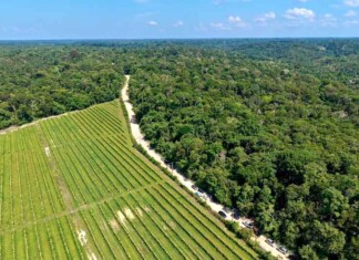 Após 40 anos de espera, ramal Água Branca 2 recebe ordem de serviço para pavimentação