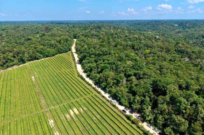 Após-40-anos-de-espera,-ramal-Água-Branca-2-recebe-ordem-de-serviço-para-pavimentação1