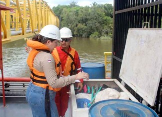 Brasil tem lei, mas falha na prática: por que o país ainda perde protagonismo climático