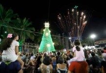 CSU do Parque 10 recebe atração inédita que une magia do Natal e preservação