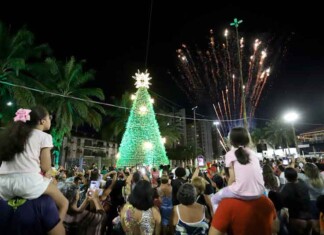 CSU do Parque 10 recebe atração inédita que une magia do Natal e preservação