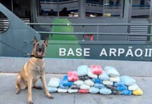 Cadela policial denuncia carga milionária escondida em barco no Amazonas