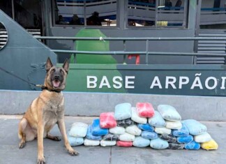 Cadela policial denuncia carga milionária escondida em barco no Amazonas