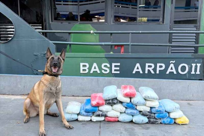 Cadela-policial-denuncia-carga-milionária-escondida-em-barco-no-Amazonas