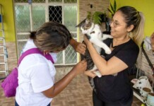 Chuva não para vacinadores: campanha antirrábica mantém ritmo em Manaus