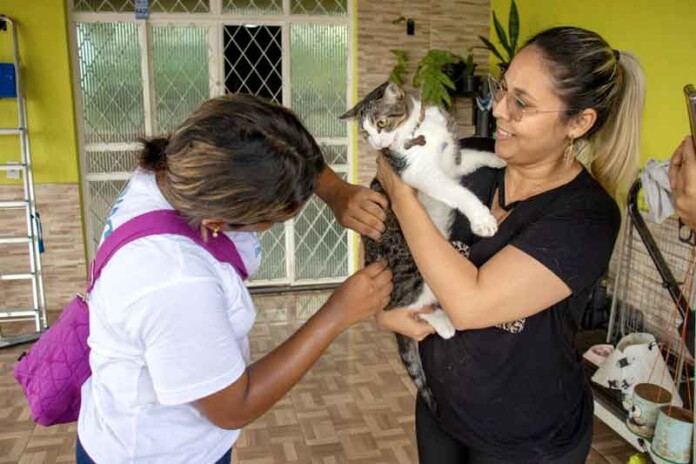 Campanha-da-Prefeitura-de-Manaus-já-imunizou-mais-de-193-mil-cães-e-gatos-contra-raiva