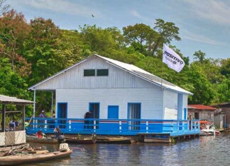 Infraestrutura sustentável redefine o futuro do pirarucu na região de Mamirauá