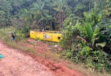 Susto na BR-319: ônibus de viagem sai da pista e tomba próximo à balsa do Igapó Açu