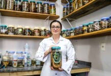 Professora da UEA vence prêmio nacional com estudo sobre tratamento de picadas de jararaca