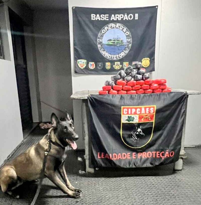 entativa-ousada-de-levar-droga-pelo-Solimões-termina-em-apreensão