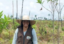 Da Amazônia ao mundo: pesquisadora do Acre vence prêmio internacional de ciência