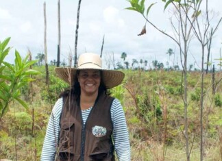 Da Amazônia ao mundo: pesquisadora do Acre vence prêmio internacional de ciência