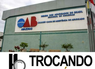 Enquanto a eleição é suspensa o Amazonas aprende a voar sem estrada