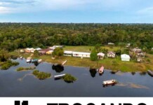 RDS afunda no lixo, universidades evaporam e a política corre atrás da própria sombra