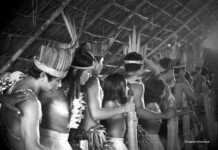 Exposição convida o público a ver a Amazônia além dos clichês turísticos