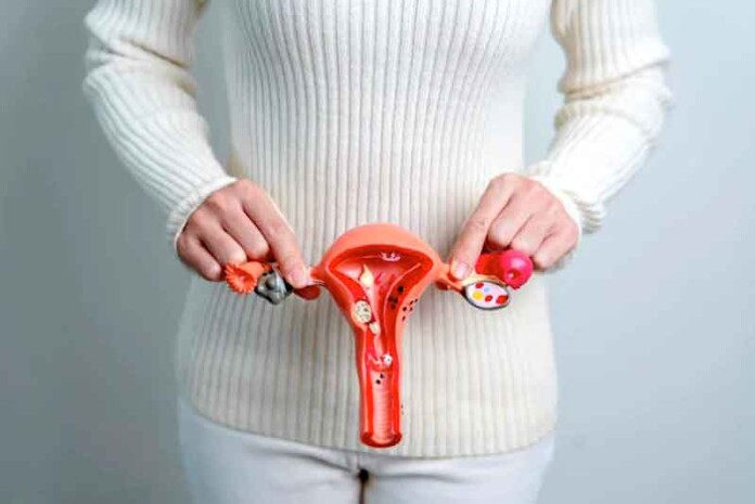 Menopausa-pode-afetar-a-saúde-íntima-muito-além-dos-fogachos