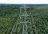 Uma decisão ambiental pode mudar o futuro da energia entre Manaus e Preto da Eva