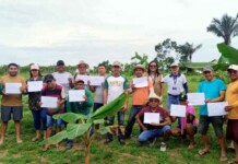 Comunidade rural de Manaquiri aposta em biofertilizantes e colhe esperança de renda maior
