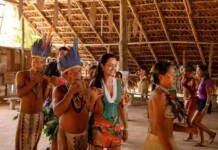 Amazonas na contramão da crise e o salto do turismo acima da média nacional