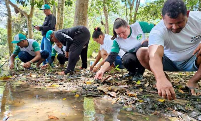 Apuí-dá-lição-de-preservação-e-mostra-quem-realmente-protege-a-Amazônia