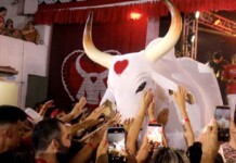 Garantido transforma Santarém em território encarnado e mostra que a paixão não tem fronteiras