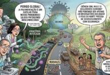 BR-319 não é o problema, o problema é decidir quem pode se desenvolver