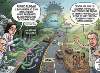 BR-319 não é o problema, o problema é decidir quem pode se desenvolver