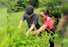 Entre tradição e pesquisa, o uso de plantas medicinais entra em uma nova fase em Itacoatiara