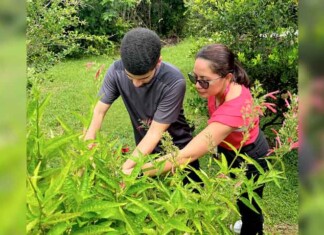 Entre tradição e pesquisa, o uso de plantas medicinais entra em uma nova fase em Itacoatiara