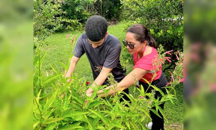 Projeto-em-Itacoatiara-une-ciência-e-tradição-no-uso-de-plantas-medicinais