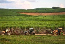 Safra de cana deve bater recorde e impulsiona tecnologia no campo