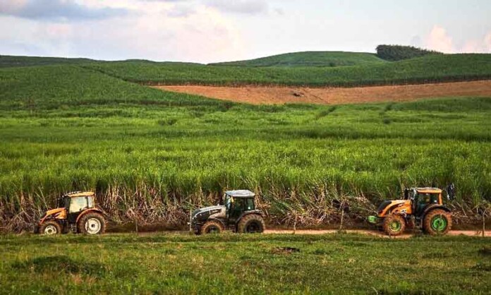 Safra-de-cana-deve-bater-recorde-e-impulsiona-tecnologia-no-campo
